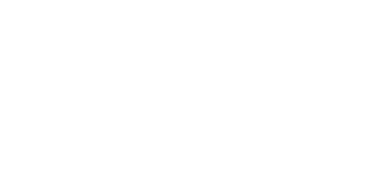 flanders-investment-trade-logo