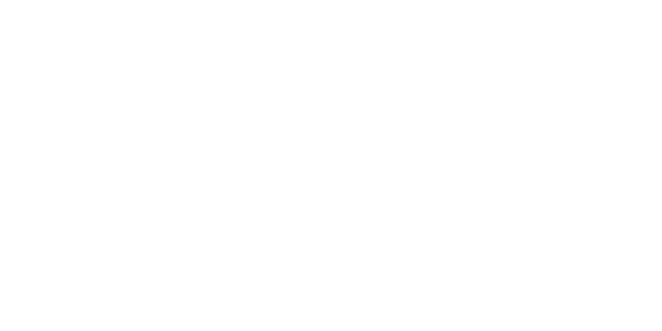 photondelta-logo-wit-website